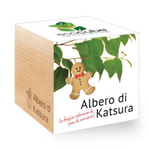 Una scatola magica contenente una foglia erboristica, un biscotto al pan di zenzero e un orsetto di peluche, per offrire ai tuoi bambini il cibo più dolce e speciale