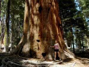 Una donna e un uomo in piedi su una radura di una giungla lussureggiante Intorno a loro, una splendida vegetazione tropicale, alberi di mangrove e alberi di un gigante rosso oro Una scena di pace e serenità tra la terra e la natura