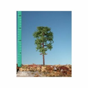 Questa foto ritrae un albero di pino contorto che emerge dal tronco di una quercia Una persona si ferma a osservare il contrasto tra la conifera e lalbero deciduo, ammirando la bellezza della natura