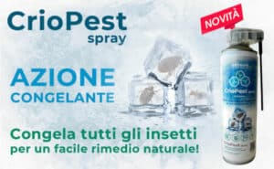 Nido di zecche nel giardino, rappresentazione grafica, utilizzato nel contesto di disinfestazione zecche con prodotti specifici