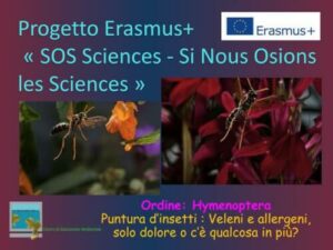 Immagine di una processionaria con testo che illustra metodi per eliminarla, per articolo sullestensione del problema della processionaria in Italia