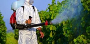 Operatore professionale che esegue disinfestazione da processionaria a Firenze