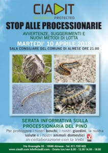 Uomo che applica rimedi contro la processionaria in un giardino