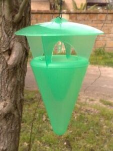Immagine illustrativa delle tecniche per leliminazione delle processionarie, tra cui luso di feromoni e trappole per la disinfestazione