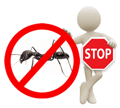 Flacone di prodotto antiformiche utilizzato per la disinfestazione delle formiche