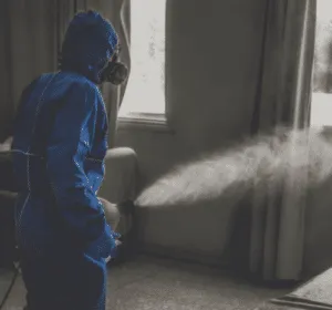 Immagine che ritrae gli acari dei letti, una causa comune di allergie e infestazioni, che può essere trattata con disinfestazione professionale, come descritto nellarticolo sui vestiti e la biancheria da letto
