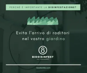 Flacone di repellente per mosche su sfondo bianco, usato come metodo di disinfestazione