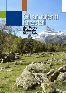Un paradiso allaperto un albero sorbom dai colori brillanti si erge tra una roccia e un albero, con una prateria che si estende da un lato e un fiume che scorre dallaltro Una wilderness fatta di erba, picchi e natura da esplorare con RiverNatura