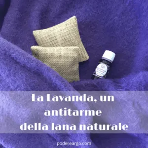 Immagine di una tarma della lana, con la lana circostante, che rappresenta limportanza di usare rimedi naturali come la lavanda e la cannella per tenere sotto controllo le tarme dei tessuti
