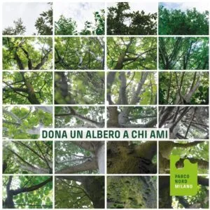 Questo collage darte è unopera unica che raffigura unalbero maestoso, un tronco di quercia dalla chioma di tigli, in una foresta di alberi da cui emerge una lussureggiante vegetazione Unimmagine magica che rende omaggio alla bellezza della natura e alla sua straordinaria Foresta