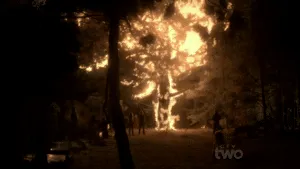 Una persona ammirando un albero di quercia bianca illuminato dalle fiamme di un falò una scena di pace e tranquillità, ricca di speranza e forza