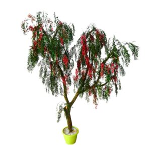 Questa foto mostra una composizione floreale di falso pepe, alberi e piante in vaso Una foglia di conifere si staglia in primo piano, mentre un fiore di bonsai sboccia delicatamente in mezzo al resto della composizione Unimmagine unica e davvero speciale!