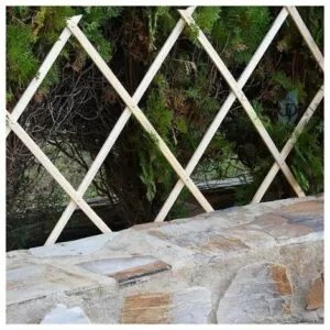 Scopri un percorso eco amichevole attraverso una passerella in legno, un cortile con una recinzione in muratura, un lastricato e una magnifica pianta in un vaso di terracotta