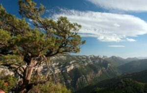 Una vista mozzafiato sulla catena montuosa delle Alpi, con ginepri rossi che spiccano contro la vegetazione lussureggiante e i boschi di alberi che circondano un picco Uno spettacolo della natura allaperto che non può essere dimenticato