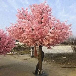 Uomo rallegrato dalla vista di un albero di ciliegio in fiore con un frutto delizioso, simbolo di una vita piena di soddisfazioni