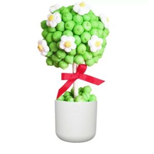 Questa immagine ritrae una pianta di ibisco in un vaso di ceramica bianca, con un barattolo di marshmallow sopra Il contrasto tra la bellezza dei fiori e il gusto del gelato rendono questa composizione unica e irresistibile!