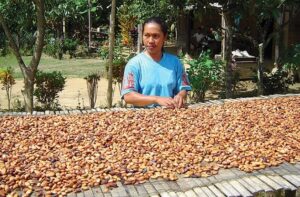 Una donna adulta che sta godendo di una porzione di frutta secca composta da noci di acero, nocciole e noci un sano prodotto alimentare per una persona sana