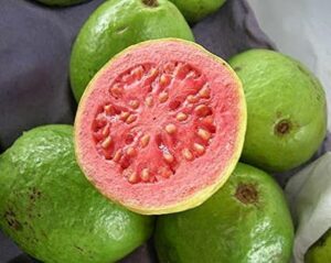 Magia Una magica pera tagliata a fette con un coltello, un simbolo di speranza e di magia che unisce la natura con lalbero magico e il suo fruttuoso prodotto Unarma che può essere usata per creare deliziosi piatti a base di cibo