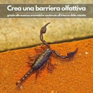 Bottiglia di veleno per scorpioni utilizzata per trattamenti di disinfestazione