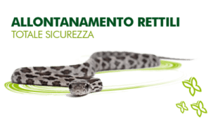 Immagine di una bottiglia di veleno per serpenti, usata come metodo di disinfestazione Si discute se sia pericoloso per luomo usare questo tipo di prodotti