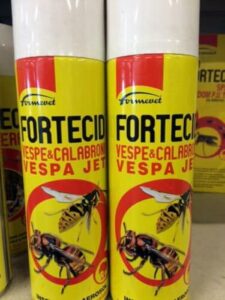 Immagine di un nido di vespe di terra, con la domanda se si può disinfestare le vespe senza ucciderle