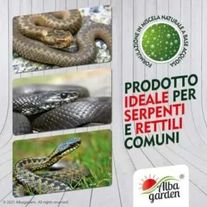Immagine di una vipera in Umbria Un rimedio naturale per allontanare i serpenti in Umbria